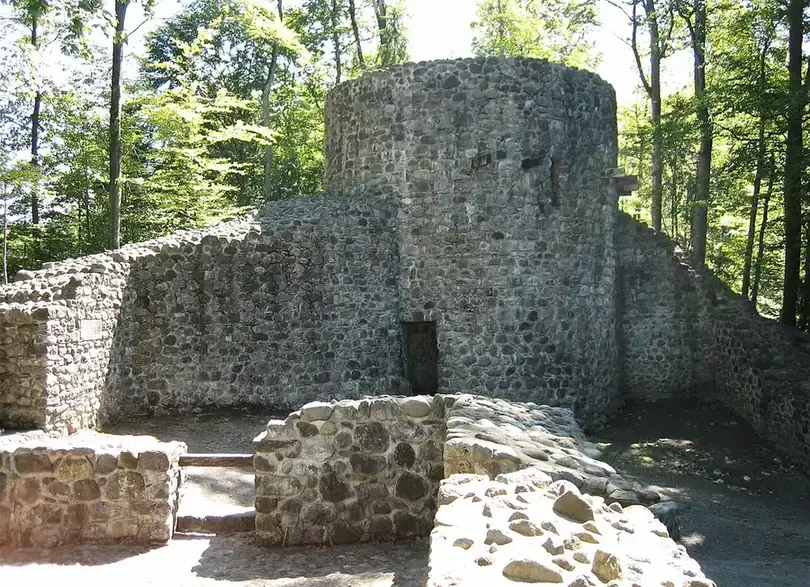 Burgruine Wildenburg