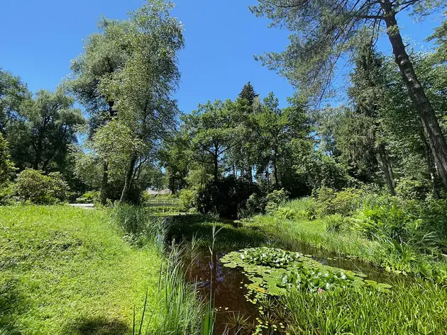 Park Seleger Moor