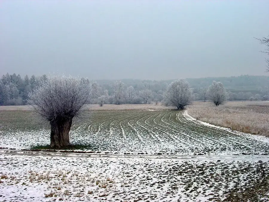 Reussspitz