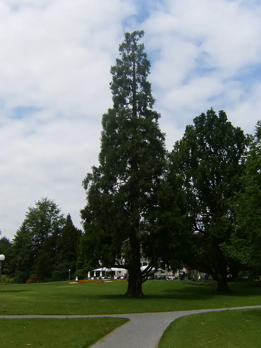 Villette Park
